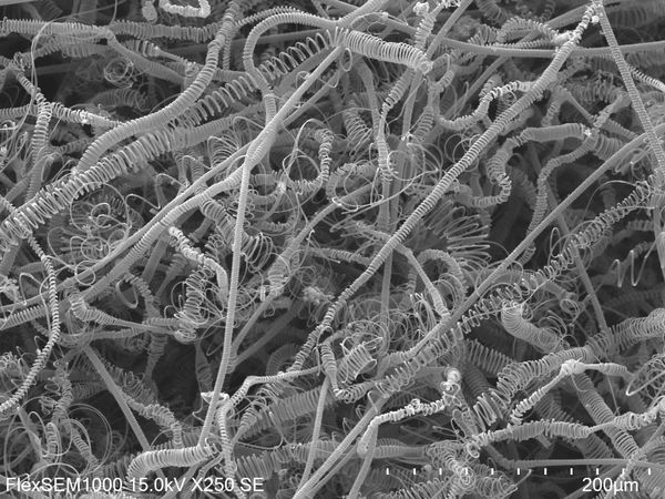 SEM image of As-Grown CMC