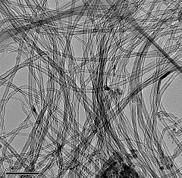 高結晶性CNTのTEM画像