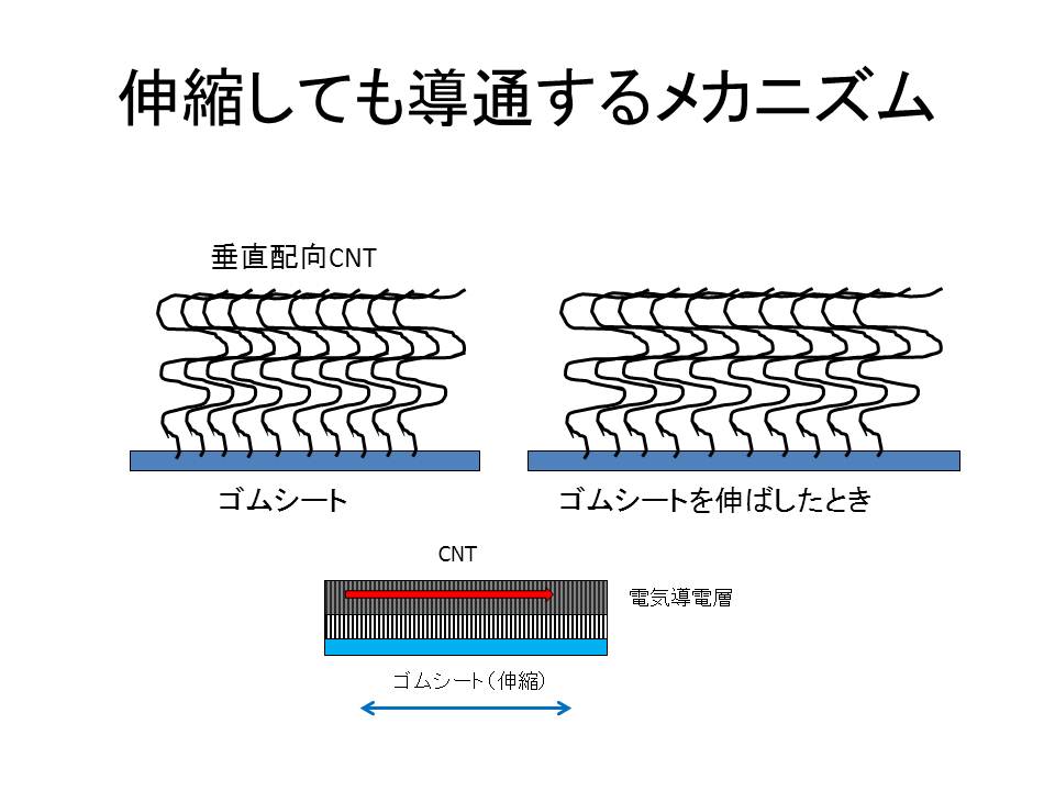 伸縮電極シートが伸縮しても導通するメカニズム