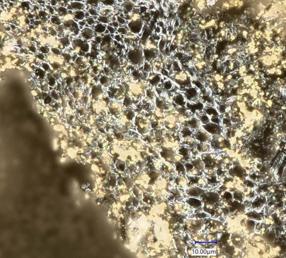 Microscopic image of Si-supported porous carbon