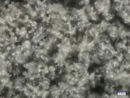 Microscopic image of Porous SiC