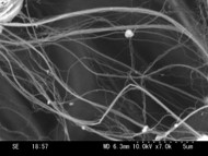 SEM image of TiO2 Nano Fiber