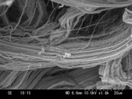 SEM image of TiO2 Nano Fiber