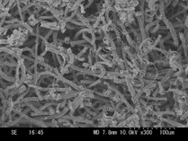 TiO2 Microcoil