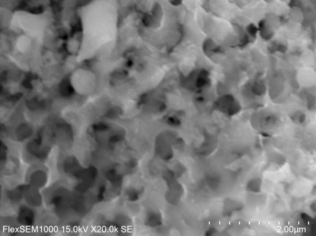 SEM Image of Porous Si