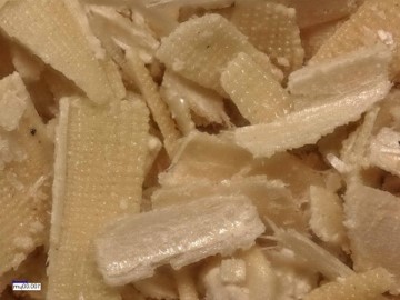 Microscopic Image of Rice Husk
