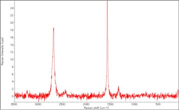 Raman spectrum of Porous Nano-carbon